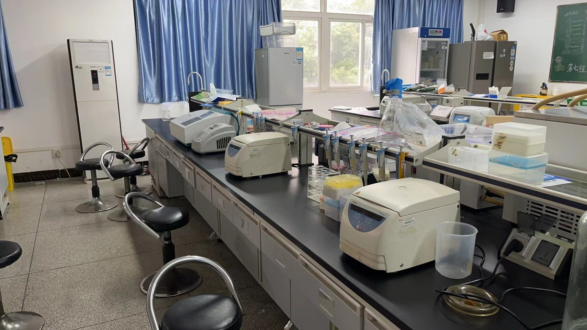 Sichuan University — SCU-China’s laboratory workbenches (2024).
